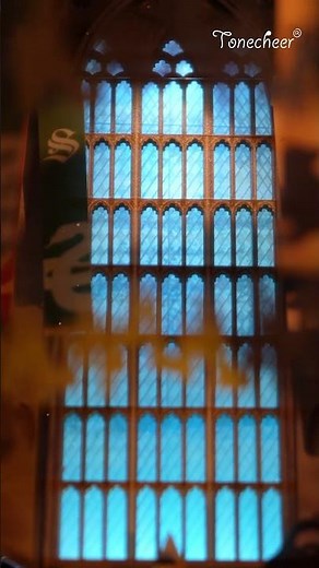 Tonecheer New Arrivals Book Nook Magic Auditorium🔮