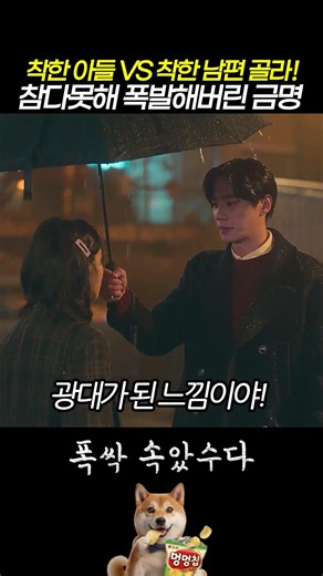 착한 아들 VS 착한 남편? 딱 골라! #폭싹속았수다