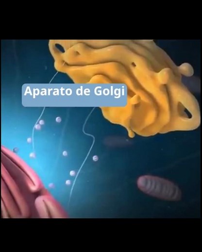 #whatistheGolgiApparatus