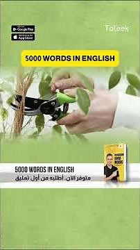 Learn the figurative meaning of "Nip it in the bud" with Mr. Ibrahim Adel🎧👌