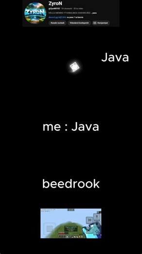 Java va Beedrook ⚡ #minecraft