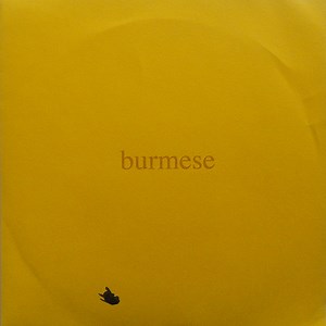 Burmese - Colony Collapse Disorder