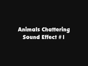 Animals Chattering SFX #1