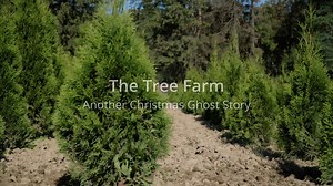 Tree Farm Thesis cut