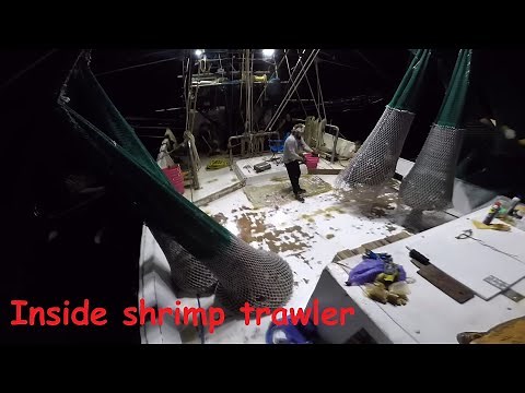 Inside a Shrimp Trawler Life Aboard the Modern Day Shrimp Boat