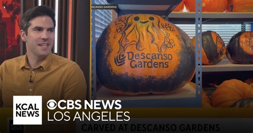 Carved at Descanso Gardens, Made in LA at the Hammer Museum and more | Weekend Roundup