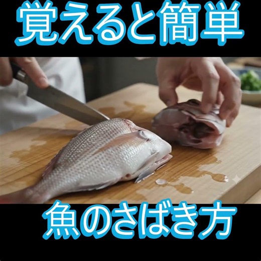 【見ると簡単】魚のさばき方！初心者でも分かる基本テクニック🐟