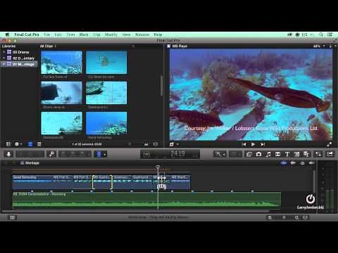 Putting Together A Music Montage (Editing As Storytelling)