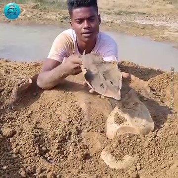 112K views · 1.1K reactions | Big Monster Stingray Fish Found & Catching Unbelievable Techniques By Fisherman #fishing | Fisherman Animal Lover-Original | Facebook