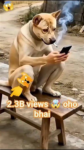 11 din main 2.3B views🙀👈 #trending #shortsfeed #youtubeshorts #funny #youtubecreator #officalvideo 🙀