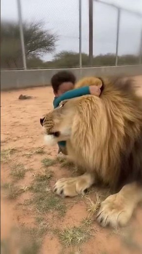 Growing Up Together Made Them Inseparable 💞