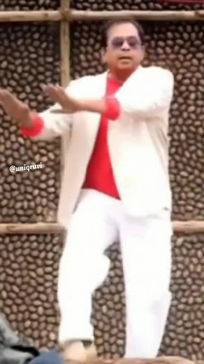 Brahmanandam and Allu Arjun Dance Comedy TikTok