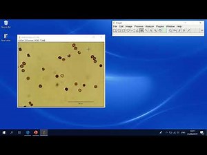 23 image j点选取工具的介绍