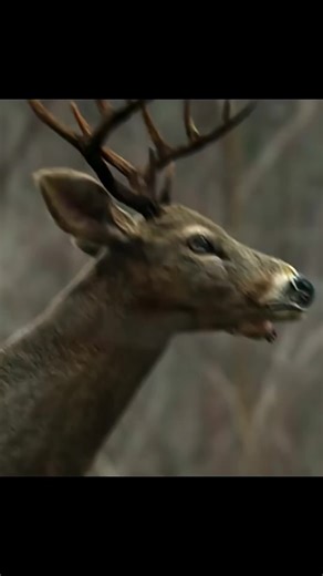 You Won’t Believe What Happens Next 😱 Pure Hollywood Magic A Scene You Can’t Forget Hollywood at Peak Level 💥#hollywood #movies #movieclips #films #cinema #cinematic #filmclip #movieedit #scenes #bestscene #epicscene #movielovers #filmbuff #moviecommunity #entertainment #reels #reelsvideo #shorts #shortvideo #viral #viralvideo #viralvideos #trending #trendingnow #fyp #foryou #foryoupage #explore #explorepage #tiktoktrend #tiktokmovies #tiktokreels #usa #unitedstates #america #uk #england #lond