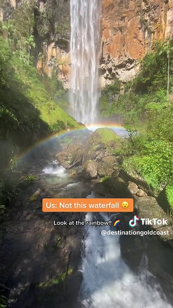📍 Purling Brook Falls, Springbrook National Park #Hiking #Waterfall #GoldCoast #NationalPark #SeeAustralia #PurlingBrookFalls