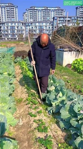 👉 Easy Weed Removal – Root & All 🌱