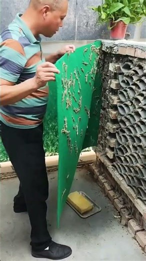 chaina ke log omg😮#shirts video #reels #kiya bat hai #reels