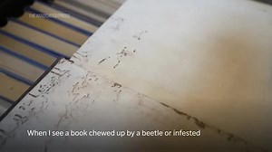 Beetle infestation in hot temps threatens precious medieval texts