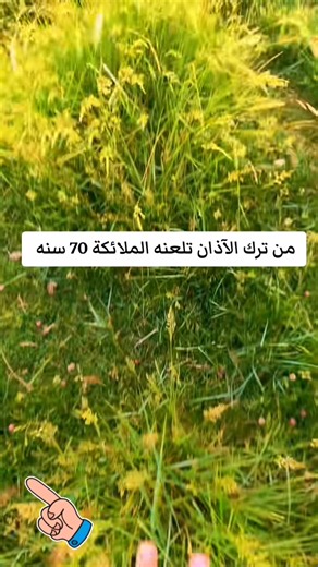 الأذان بصوت يخشع له القلوب - أذان المغرب والفجر