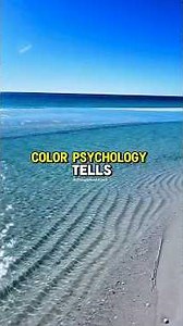 The Science Behind Why the Ocean or Gulf Instantly Calms You