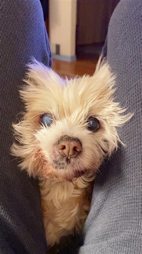 raising_helen_04 (@raising_helen_04)’s videos with Spritz - GoldenSoundLabs