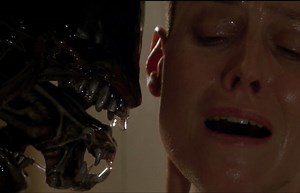 Meet the Moray Eel, Which is Basically Giger’s Xenomorph