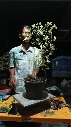 สวัสดีคับ @ไฮไลท์ | กุ้ง ณัฐพงค์ สายควรเกย บอนไซสายบิดทีม