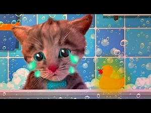 LAS AVENTURAS DEL GATITO | Dibujos Animados Educativos para Niños - Preschool Learning Adventure