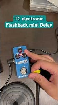 Tc Electronic Flashback Mini Delay