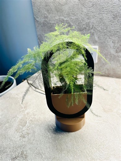 Modern LED Table Lamp, Oval Halo Light, Minimalist Bedside Lamp, Ambient Night Light, Wood Base Decor - Etsy