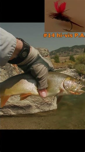 Granite Creek (Hoback Trib), WY #fishing #trout #flyfishing #wyoming