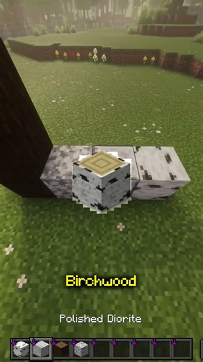 👉 This Minecraft Block Combo Is Actually Perfect #Shorts #minecraft #minecraftbuilding #gaming