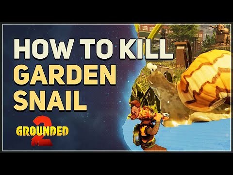 How to kill Garden Snail Grounded 2