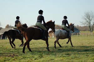 Meadow Brook Hounds Pony Club with Smithtown Hunt  Annual Hunter Pace at Caumsett State Park
