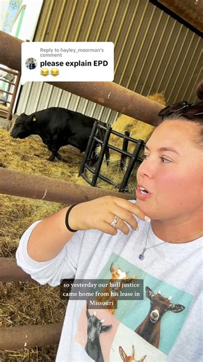 486K views · 18K reactions | What are EPDs? | Katie Van Slyke | Facebook