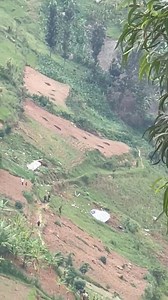 42K views · 491 reactions | Impanuka iteye ubwobwa mu Rwanda  Hafi...