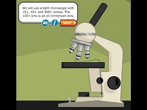 Using the Microscope