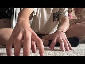 5 minutes of aggressive carpet scratching • LOFI • No Talking