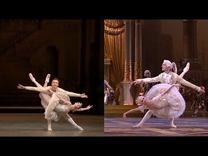 Sleeping Beauty Pas de Deux Act. 3: Nunez - Muntagirov / Zakharova - Hallberg (Split Screen)