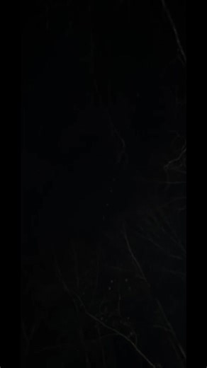 Carrigan (@carrigan1990)’s videos with original sound - Carrigan