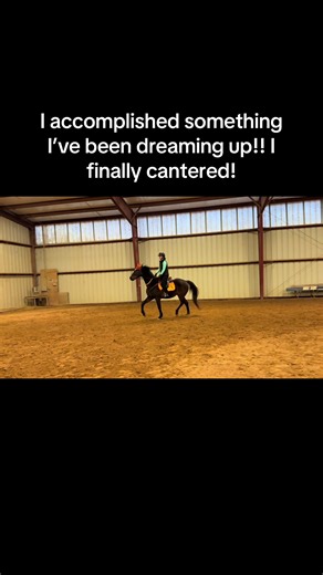 I’ve been riding English for a year now and had a bad habit of holding on when I canter then panicking! This was the first time I felt more comfortable to do it and it looks a bit messy at first but we all start somewhere! The goal is to go to my first show this year! #horses #horsegirl #horsesontiktok #horsetok #fyp