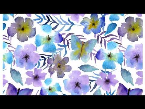 08/10/25 live stream