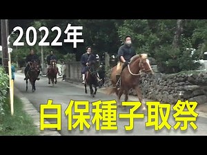 白保村 - 種子取祭 2022年