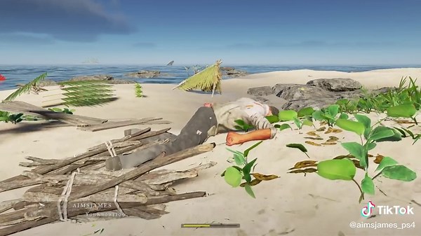 Surviving the Stranded Deep Dilemma - Multiplayer PS4 Gameplay