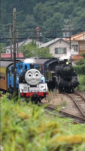 【4K縦動画】大井川鐵道「きかんしゃトーマス」「SL急行かわね路」福用駅交換シーン！ Oigawa railway Steam locomotive "Thomas the tank engine"