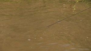 On the hottest day of the season, Little Willie suffers from extreme heat exhaustion - now Willie and Junior must divide and conquer alone, in this clip from Season 12, "Heat Wave." #SwampPeople | Swamp People on History