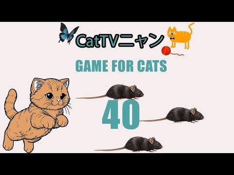 猫の本能全開！5時間の狩りタイム🎯 | CatTVニャン #40