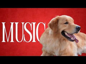 DOG MUSIC: Peaceful Sleep Music for Tired Happy Dogs