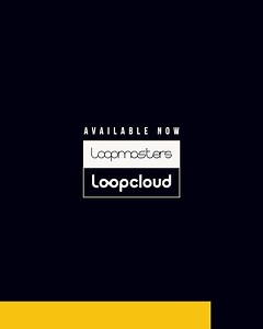Get Grammy Winning Vocals Today on Loopcloud | Loopcloud