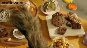ProFlowers TV Spot, 'Fall Flavor'